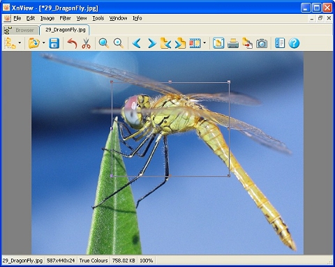 XnViewer 10大相片管理軟體