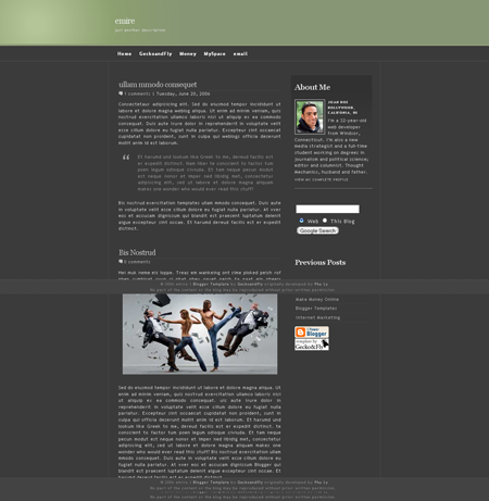 emire 29 Beautiful Blogger Templates