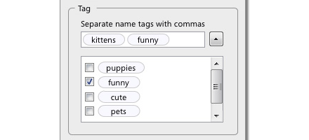 tag Preview On New Firefox 3.0