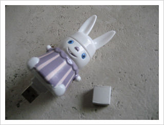 bunny flash drive