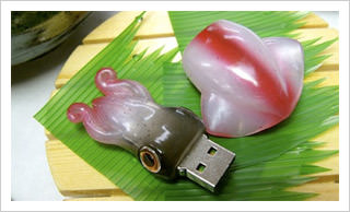 Cutest and Extraordinary USB Flashdrive